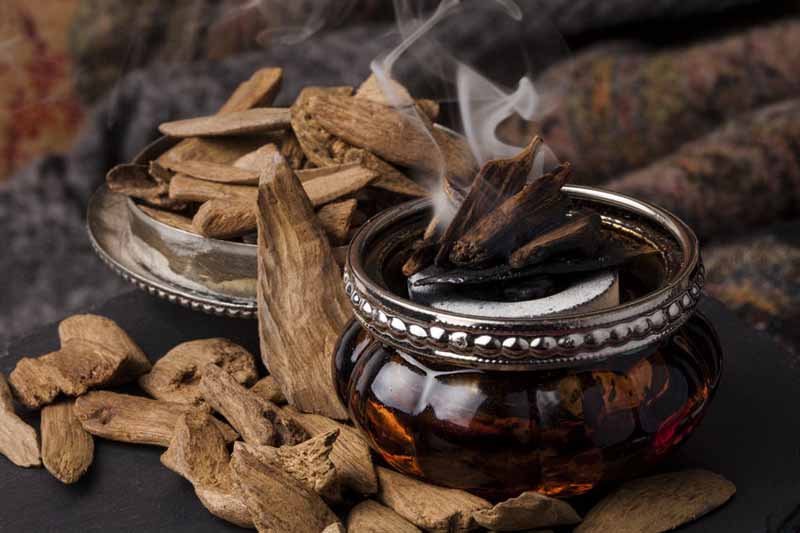 Scents to make people fall in love